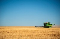 Harvest Ridge Organics harvests wheat on a field near Reservoir A in Lewiston, Idaho.