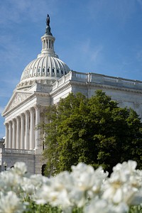 Spring 2021 on the U.S. Capitol Campus. Original public domain image from Flickr