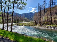 Clackamas River 8 months after Riverside Fire, Mt. Hood National ForestPhoto taken 05/10/2021. Original public domain image from Flickr