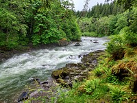 Stillaguamish River near Verlot, Mt. Baker-Snoqualmie National Forest. Photo by Anne Vassar June 14, 2021. Original public domain image from Flickr