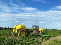 Agricultural cornfield. Free public domain CC0 photo.