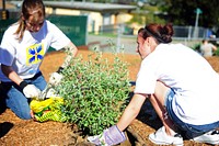 Make A Difference Day 2011