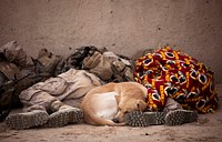 Let Sleeping Dogs Lie. The squad stopped to rest in an abandoned compound. All of the Marines and Afghan soldiers were exhausted, as were the IED detection dogs, so this trio decided to catch a quick nap. Original public domain image from Flickr