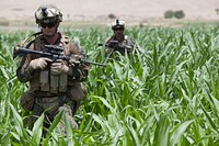 U.S. Navy Hospitalman Derek Happel, attached to 3rd Platoon, Alpha Company, 1st Battalion, 7th Marine Regiment, Regimental Combat Team 6, patrols through a cornfield in Sangin, Helmand province, Afghanistan, July 11, 2012.