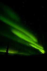 Aurora in Denali. Original public domain image from Flickr