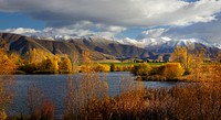 Autumn tones NZ