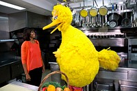 First Lady Michelle Obama participates in a “Let’s Move!” and "Sesame Street" public service announcement taping with Big Bird in the White House Kitchen, Feb. 13, 2013.