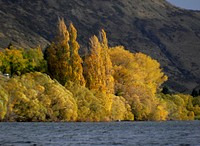 Lake Hayes Otago NZ. Original public domain image from Flickr