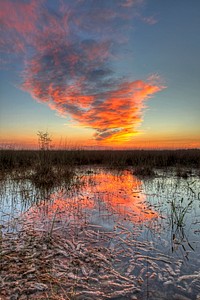 Periphyton before night. Original public domain image from Flickr