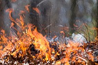 Jarman Gap Burn wildfire. Original public domain image from Flickr