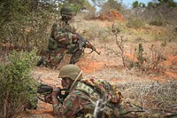 Sierra Leonian troops conduct a foot patrol near the city of Kismayo in Southern Somalia on September 26. AU UN IST PHOTO / Jacob Willmer. Original public domain image from <a href="https://www.flickr.com/photos/au_unistphotostream/9977498896/" target="_blank" rel="noopener noreferrer nofollow">Flickr</a>