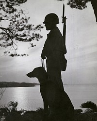 09-7928-28 Marines against the Sea - Marine sentries and War Dogs keep nightly vigils along the shores of Okinawa to guard against surprise enemy landings.