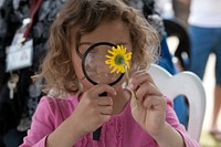 A young girl examines the inner workings of a daisy flower at the National Park Service's annual Science Fest. Original public domain image from <a href="https://www.flickr.com/photos/santamonicamtns/13296811074/" target="_blank" rel="noopener noreferrer nofollow">Flickr</a>