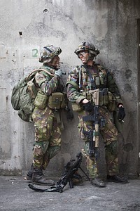 VARPALOTA TRAINING AREA, Hungary - Saker Falcon is a multinational training exercise involving roughly 200 Soldiers from U.S. Army Europe's 12th Combat Aviation Brigade, two Dutch Air Assault battalions, and Hungarian military forces.