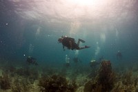 U.S. Navy divers with Company 2-1, Mobile Diving and Salvage Unit (MDSU) 2 swim with Belize Defense Force divers during a joint training dive as part of Southern Partnership Station (SPS) 2014 off the coast of Belize June 13, 2014.