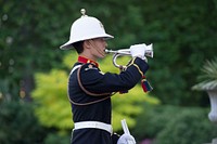 A British marine plays an instrument June 10, 2014, during a performance as part of a dinner in honor of the U.S. Joint Chiefs of Staff after a defense chiefs strategic dialogue with the U.S. Joint Chiefs of Staff and their British counterparts in London.