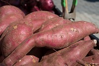 Japanese sweet potatoes for sale at Jack London Square, in Oakland, CA, on Sunday, March 2, 2014. USDA photo by Lance Cheung.. Original public domain image from Flickr