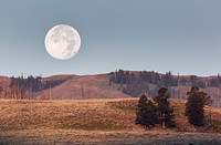 Moonset, Lamar Valley photo by Neal Herbert. Original public domain image from Flickr