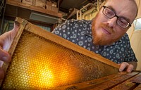 U.S. Department of Agriculture (USDA) Agricultural Research Service (ARS) Biological Science Technician Nathan Rice begins the honey extraction process by removing one of 16 racks of honeycombs full of honey, from a colony frame box at the ARS Bee Research Laboratory in Beltsville, MD, on Friday, Sept. 12, 2014.