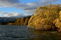 Lake Hayes Otago.NZLake Hayes is a small lake in the Wakatipu Basin in Central Otago, in New Zealand's South Island. It is located close to the towns of Arrowtown and Queenstown. Original public domain image from Flickr