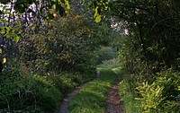 Calm road.