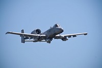 A Maryland Air National Guard A-10 Thunderbolt II from the 175th Fighter Wing performs a show of force during a close air support exercise on day two of Operation Morning Coffee, a joint exercise with the New Jersey Army and Air National Guard, Maryland Air National Guard, and the Marine Corps Reserve on Warren Grove Gunnery Range, N.J., June 17, 2015. (U.S. Air National Guard photo by Tech. Sgt. Matt Hecht/Released). Original public domain image from Flickr