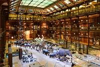 Great Gallery of Evolution, Paris, France. Free public domain CC0 image.