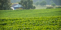 Hill and Dale Farm is allowing Patriot Farmers of America (PFA) training site is located in the central portion of the farm in Berryville, VA, on Tuesday, July.7, 2015.