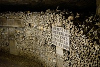 Skull and bones. Free public domain CC0 photo