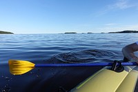 Person rowing. Free public domain CC0 photo.