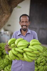 A worker shows off a bunch of bananas at the premises of Tass Enterprise, a fruit company operating in Wadajir district on June 29 2015.