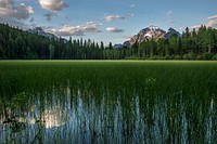 Bowman Lake - Mosquito View. Original public domain image from Flickr