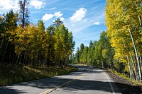 Snowbowl Road