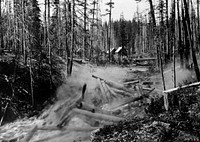 Columbia NF - Breaking up a Log Jam in Trout Creek, Washington c1905. Original public domain image from Flickr