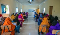 Somali Youth Learners Initiative Teacher Training. Teacher training in Mogadishu and Garowe. Our Somali Youth Learners Initiative (SYLI) aims to support the next generation of Somali leaders by expanding access to quality secondary education opportunities for over 160,000 youth.