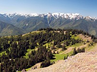  High Mountains from Hurricane Hill Olympic NP Washington. Original public domain image from Flickr