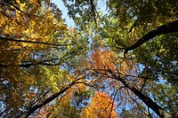 Fall Hiking. Fall at Devil's Lake State Park in Wisconsin. Original public domain image from Flickr