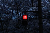 Red crossing light. Free public domain CC0 photo.