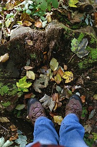 Walk in the woods.