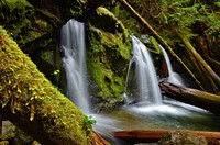 Three Falls Waterfall, Olympic National Forest. Original public domain image from Flickr