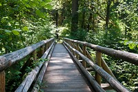 Log Bridge, Willamette National Forest. Original public domain image from Flickr