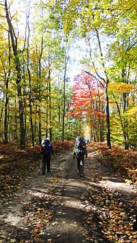 Manistee River Trail. Original public domain image from Flickr