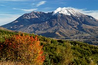FALL COLOR AT MT ST HELENS-MT ST HELENSView of Mt St Helens during 2004 Eruption with Fall Colors in the Mt St Helens National Volcanic Monument on the Gifford Pinchot National Forest in Washington's Cascades. Original public domain image from Flickr