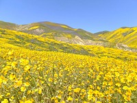 The Bureau of Land Management photo. Original public domain image from Flickr