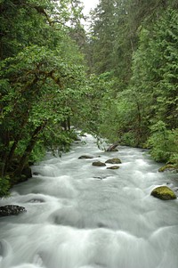 Winter Runoff on the Upper Dungeness River, Olympic National Forest. Forest Service Photo by Tom Iraci. Original public domain image from Flickr