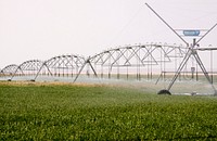Iririgation and second cutting of alfalfa in producer Mike Loring's flield in the Seville Flats area of the Blackfeet Reservation. August 2012. Original public domain image from Flickr