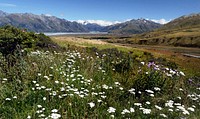 Open country. NZAs the planet heats up environmentally and politically, it’s good to know that New Zealand exists. This uncrowded, green, peaceful and accepting country is the ultimate escape. Original public domain image from Flickr