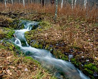 Title 6 CreekTitle 6 Creek is one of the intakes at the Jordan River National Fish Hatchery in Elmira, MI.Photo by Bobbie Halchishak/USFWS. Original public domain image from Flickr