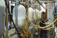 Equipment inside dairy in Utah, April 1979. Original public domain image from Flickr