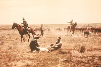 Historical photo of cowboys working calves, sepia tones. Original public domain image from Flickr